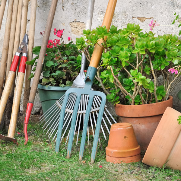 Aftercare and Maintenance